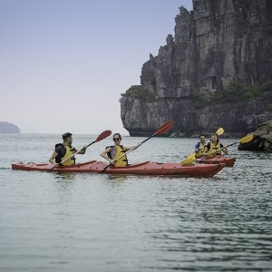 Complete Vietnam Trip Package: Cities, Countryside, and Coastal Charm