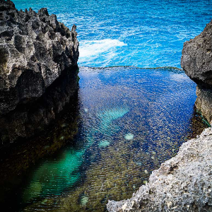 Discover Bali with Loved Ones: 8 Days Family Package