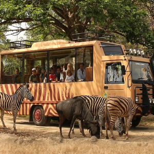 Discover Bali with Loved Ones: 8 Days Family Package
