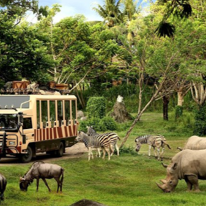Discover Bali with Loved Ones: 8 Days Family Package