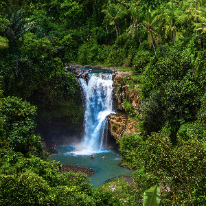 Dreamy Bali Honeymoon Trip Package for Couples