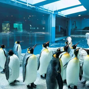 Dubai Family Holiday Package: 5 Nights 6 Days Fun-Filled Itinerary