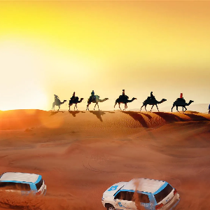 Dubai Family Holiday Package: 5 Nights 6 Days Fun-Filled Itinerary