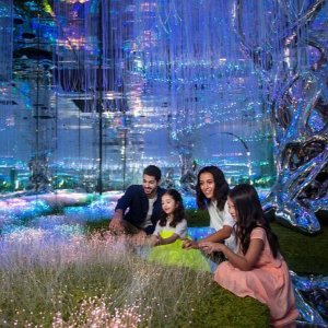 Dubai Family Holiday Package: 5 Nights 6 Days Fun-Filled Itinerary