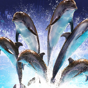 Dubai Family Package: 6 Days in Abu Dhabi & Dubai Highlights