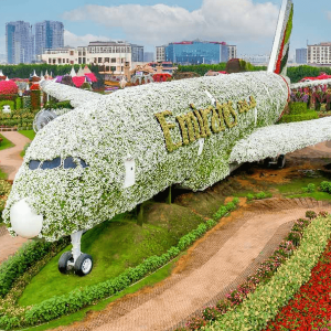 Dubai Package for Couple: Luxury & Adventure