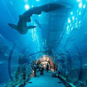 Dubai Package for Couple: Luxury & Adventure