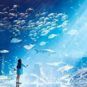 Dubai Package for Couple: Luxury & Adventure