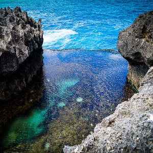 Explore Bali Together: Perfect Bali Family Tour Package