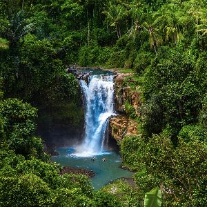 Explore Bali Together: Perfect Bali Family Tour Package