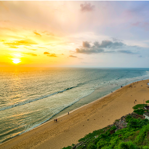 Family Kerala Trip: Explore the Best of Hills, Wildlife, and Beaches in 6 Days