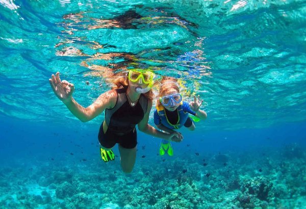 Goa Family Trip Itinerary: 5 Days of Fun and Togetherness