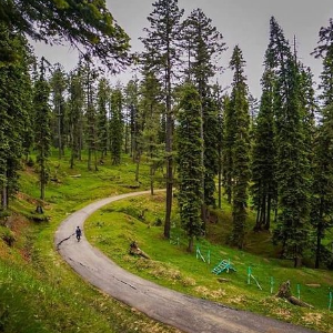 Kashmir Travel Package for Family and Friends