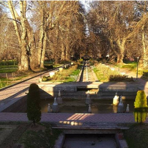 Kashmir Travel Package for Family and Friends