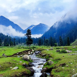Kashmir Travel Package for Family and Friends