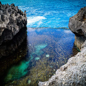 Love in Paradise: 8 Days Bali Honeymoon Tour Package