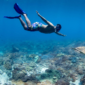 Love in Paradise: 8 Days Bali Honeymoon Tour Package
