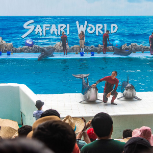 Magical 5 Days Thailand Couple Tour Package for Honeymooners