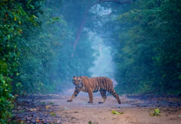 Mussoorie to Nainital: 7 Days Uttarakhand Tour Package