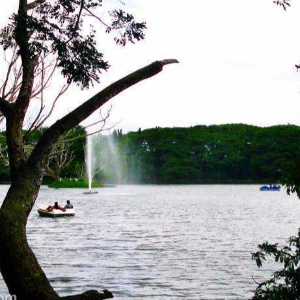 Perfect Kerala Trip Package for Family: A Delightful Blend of Mysore, Coorg, Ooty, and Coonoor