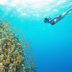 Phu Quoc Couple Package: A Romantic Island Escape