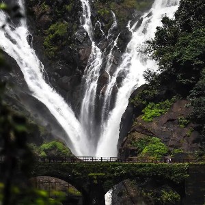 Romantic Goa Tour Package for Couples
