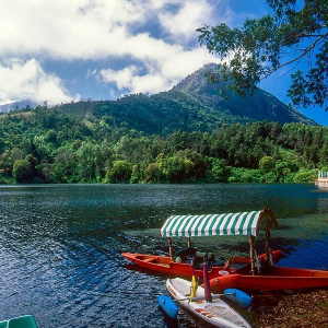 Romantic Kerala Honeymoon: 7 Days of Beaches, Backwaters, and Nature