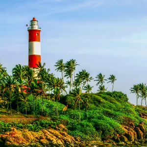 Romantic Kerala Honeymoon: 7 Days of Beaches, Backwaters, and Nature