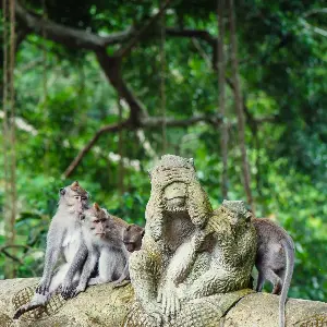 Singapore Bali Honeymoon Package: From City Lights to Island Nights