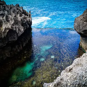 Singapore Bali Honeymoon Package: From City Lights to Island Nights