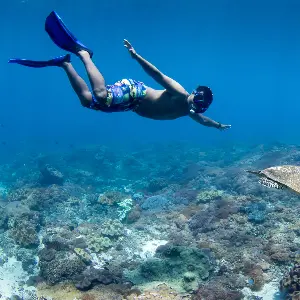 Singapore Bali Honeymoon Package: From City Lights to Island Nights
