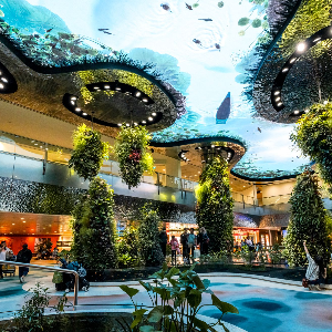 Singapore Family Package: 6 Days of Fun, Adventure & Memories