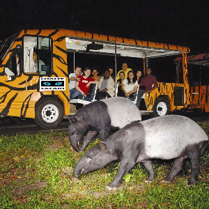 Singapore Family Package: 6 Days of Fun, Adventure & Memories