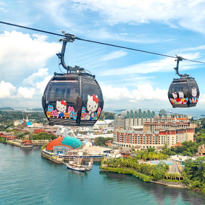 Singapore Family Package: 6 Days of Fun, Adventure & Memories