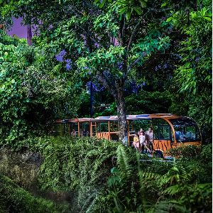 Singapore Sightseeing Tours: From Iconic Landmarks to Sentosa Thrills