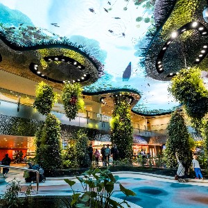 Singapore Tours for Couple: 8-Day Honeymoon Itinerary