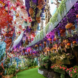 Singapore Tours for Couple: 8-Day Honeymoon Itinerary