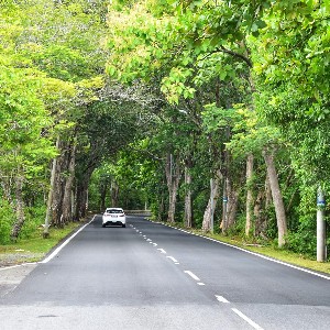 Singapore Tours for Couple: 8-Day Honeymoon Itinerary