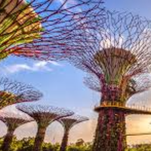 Singapore Trip Package – Sentosa, Universal & Night Safari Highlights