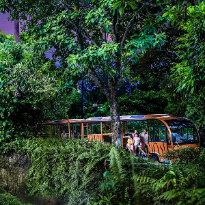 Singapore Trip Package – Sentosa, Universal & Night Safari Highlights