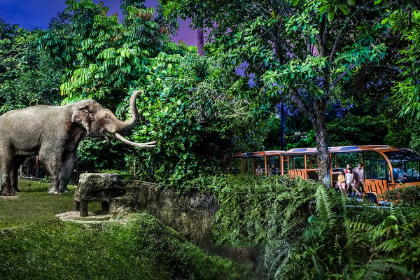 Perfect Honeymoon Destination for Couples