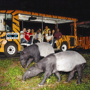 Singapore Vacation Packages with Sentosa & Kuala Lumpur