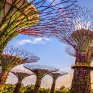 Singapore Vacation Packages with Sentosa & Kuala Lumpur
