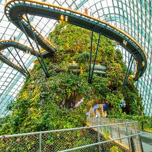 Singapore Vacation Packages with Sentosa & Kuala Lumpur