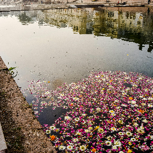 The Perfect Jaipur City Tour: Discover the Royal Pink City