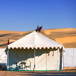 The Ultimate Tour to Rajasthan: Palaces, Forts & Desert Wonders in 10 Days