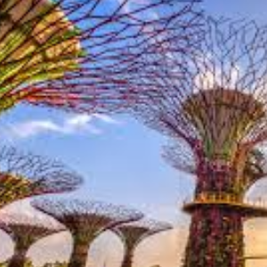 Ultimate Singapore Tour Itinerary with Sentosa & Universal Studios