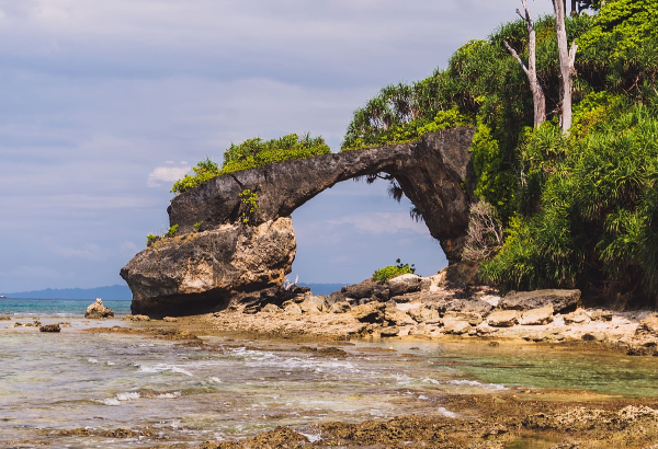 Unforgettable 5 Night 6 Days Andaman Package: Beaches, Adventure & Family Fun