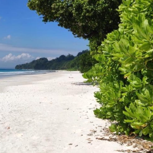 Unforgettable 5 Night 6 Days Andaman Package: Beaches, Adventure & Family Fun