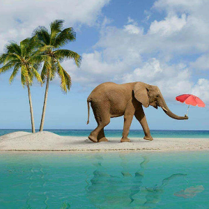 Unforgettable 5 Night 6 Days Andaman Package: Beaches, Adventure & Family Fun